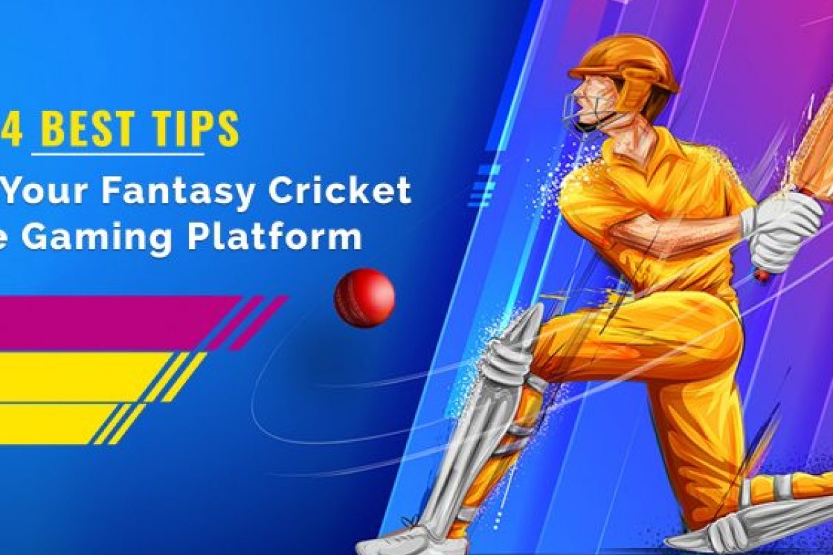 How to effectively play the game of fantasy cricket?