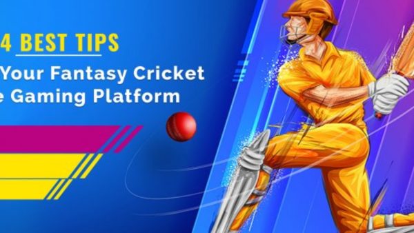 How to effectively play the game of fantasy cricket?